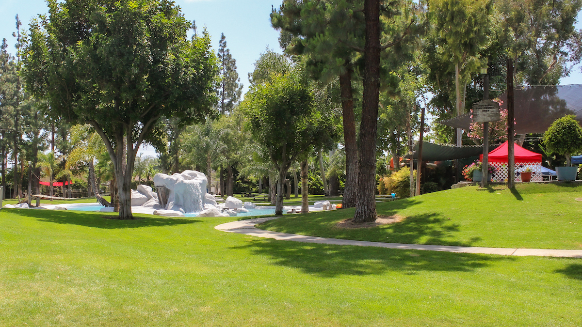 The shining blue water of the lake in Kiwanisland Park is surrounded by shaded seating areas, an amphitheater and open lawn space for activities.